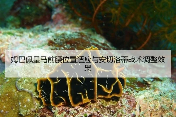 姆巴佩皇马前腰位置适应与安切洛蒂战术调整效果
