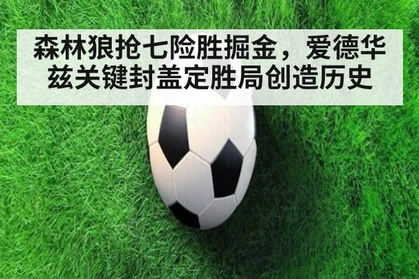 森林狼抢七险胜掘金,爱德华兹关键封盖定胜局创造历史
